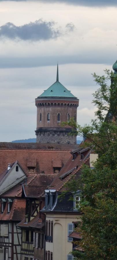 Appartement Grenier A Sel Gentleman Colmar Exterior foto