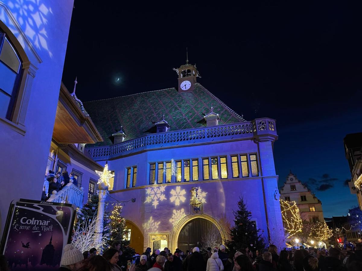 Appartement Grenier A Sel Gentleman Colmar Exterior foto